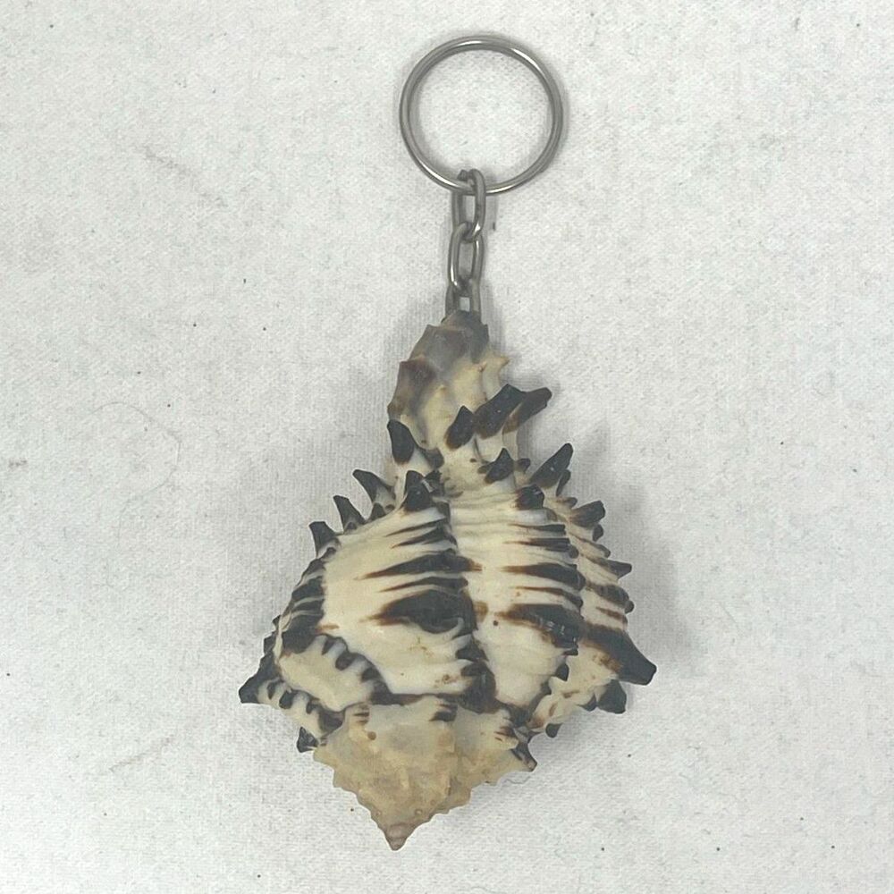 Vintage Conch Shell Keychain Key Chain Ring USA Collector Beach Sand Grannycore